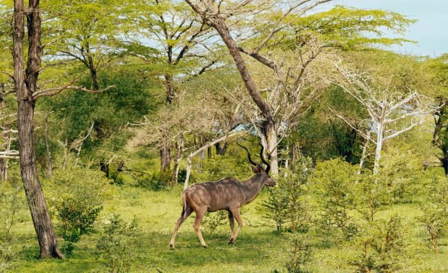 8-Day Dahabiya Nile Cruise – Aswan to Luxor (S/V Elephantine)