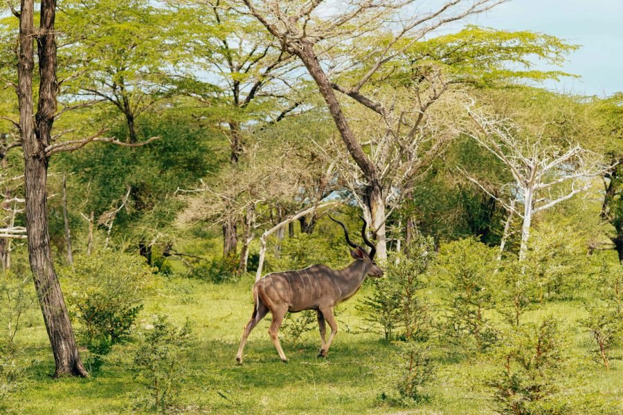 8-Day Dahabiya Nile Cruise – Aswan to Luxor (S/V Elephantine)