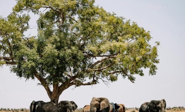 8-Day Dahabiya Nile Cruise – Luxor to Luxor (S/V Philea)