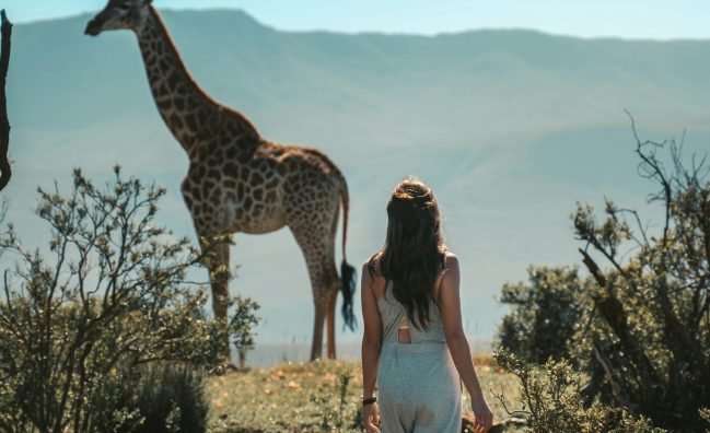 Egypt Nile Dahabiya Cruises – 8 Days Traditional Sailing Egyptian Nile Cruise Overview