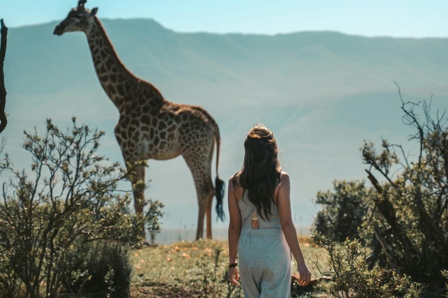 Egypt Nile Dahabiya Cruises – 8 Days Traditional Sailing Egyptian Nile Cruise Overview